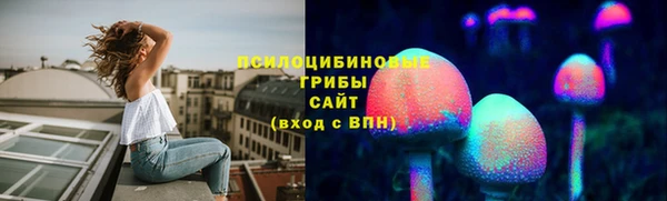 прущий лед Алзамай