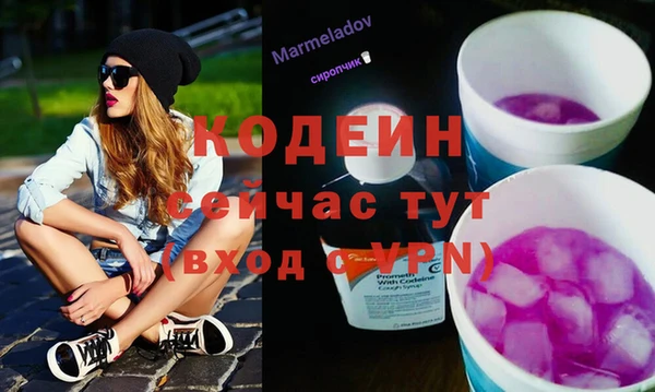 прущий лед Алзамай