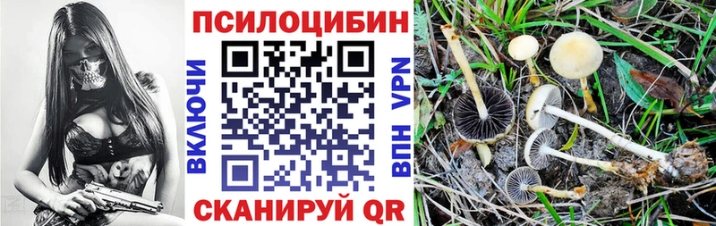 кракен как войти  купить наркотики сайты  Суджа  Псилоцибиновые грибы GOLDEN TEACHER 